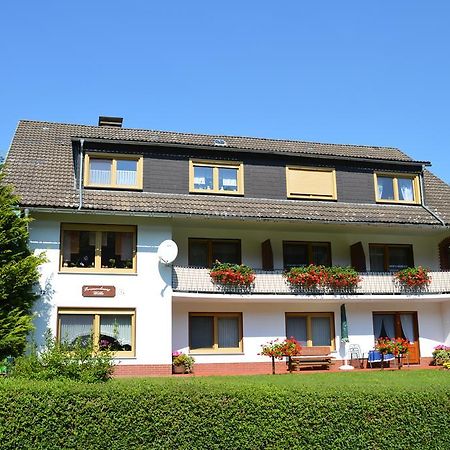 Fewo Wilke Willingen  Buitenkant foto