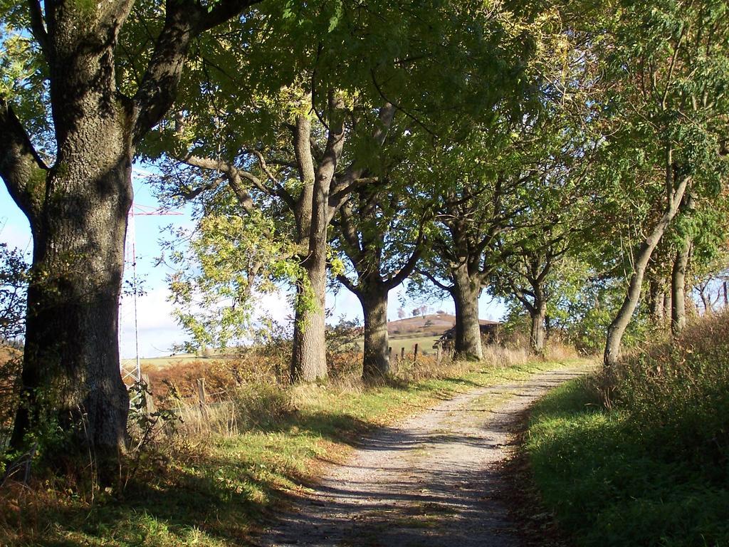 Fewo Wilke Willingen  Buitenkant foto