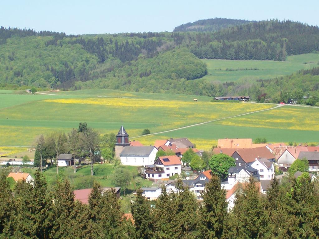 Fewo Wilke Willingen  Buitenkant foto