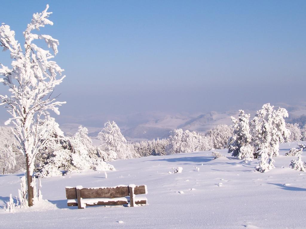 Fewo Wilke Willingen  Buitenkant foto