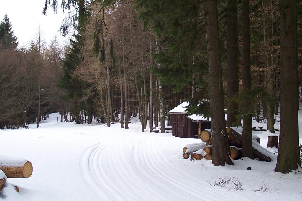 Fewo Wilke Willingen  Buitenkant foto