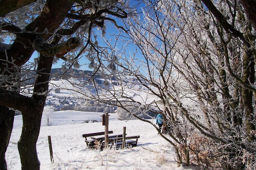 Fewo Wilke Willingen  Buitenkant foto
